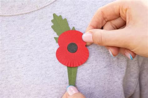 Amazon Remembrance Poppy Shop Launches For As Design Undergoes