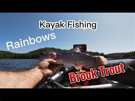 Awesome Day Kayak Fishing Multi Species Day Fishing For Rainbow Trout