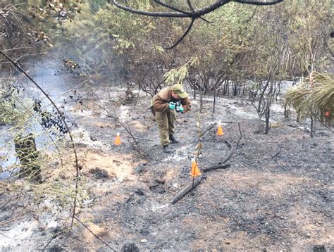 Labocar Investiga El Origen Del Incendio En El Sector Alto De Viña Del