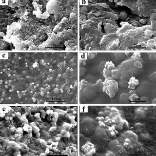 Sem Micrograph Of Precipitates Formed On The Surface Of Gel Cap