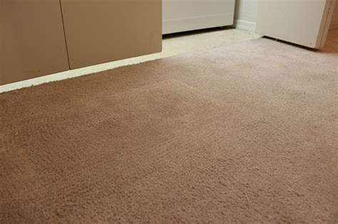 Bleach Spot Carpet Dye Repair Carpet Repair Philadelphia