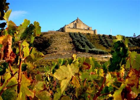 Descubre La Campi A Sur Cordobesa Paisaje Historia Y Vino En El