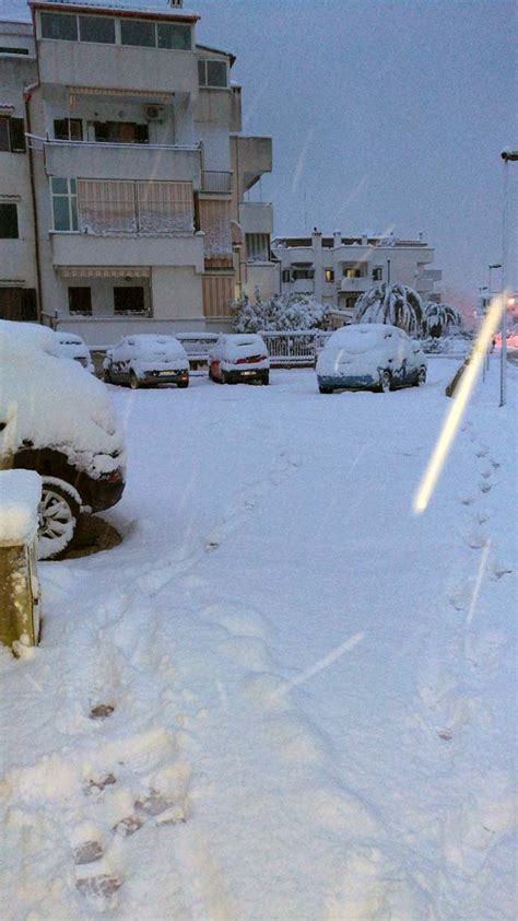 Neve Sul Gargano Puglia Notizie News Video E Approfondimenti