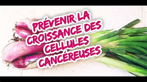 LES BIENFAITS ET LES PROPRIÉTÉS DE L OIGNON VERT bienfaits nutrition