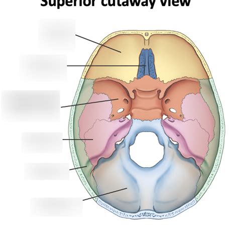 Floor Of Cranium Diagram Quizlet