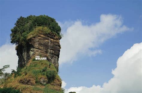 Puncak Widosari Kulon Progo Lokasi Harga Tiket Dan Tips