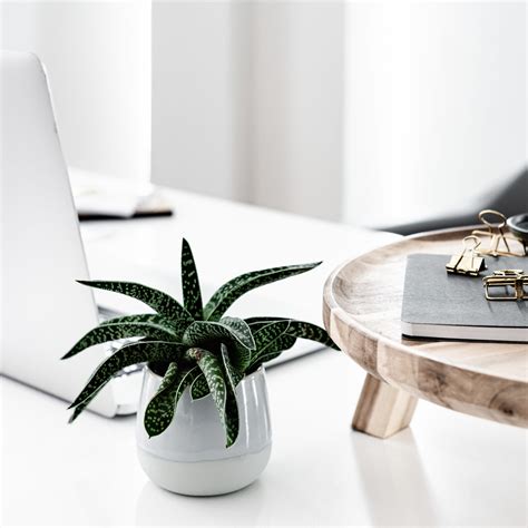 Wondering How to Make a Budget? - Pasha is Home