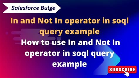 How To Use In And Not In Operator In Soql Query Example Apex