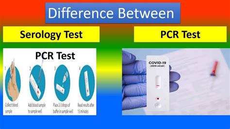 Difference Between Serology Test And Pcr Test Youtube