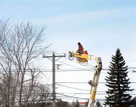 Curated Electrical Company Names Wordlab