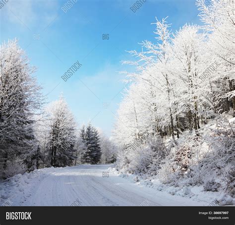 Christmas Morning. Image & Photo (Free Trial) | Bigstock