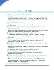 Adn Ficha Pr Ctica Dx Docx El Adn Responde A Las Siguientes Preguntas