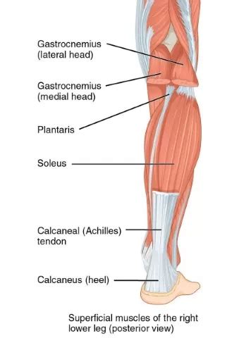 How to massage Achilles Tendonitis for pain relief | Click Physiotherapy