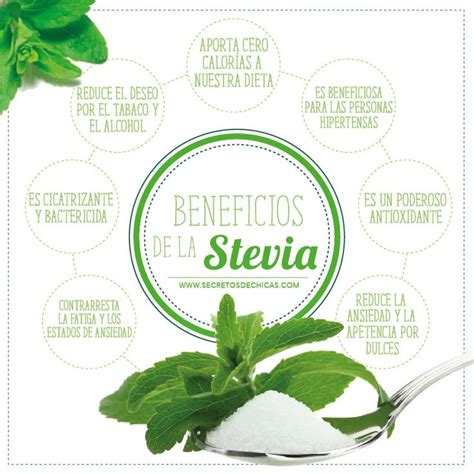 Beneficios De La Stevia Healthy Facts Healthy Tips What Is Diabetes