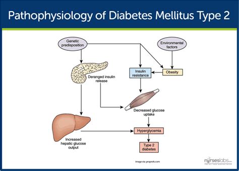 The Pharmacists Guide To Oral Diabetes Drugs — Tldr Pharmacy