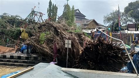 Hujan Deras Dan Angin Kencang Pohon Beringin Di Sleman Tumbang Timpa