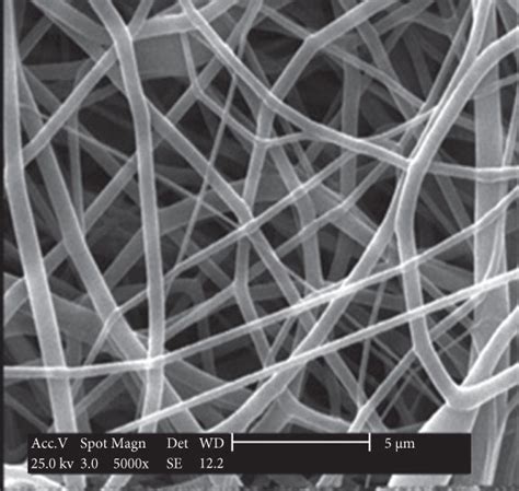 SEM Images Of Electrospun TPU Nanofibers At Different Concentrations