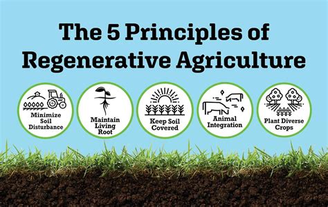 What Is Regenerative AG USA Regenerative Agricultural Alliance INC