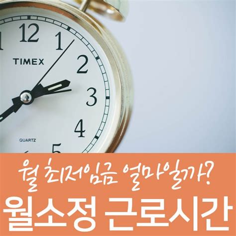 왜 월소정 근로시간은 대부분 209시간일까 네이버 블로그