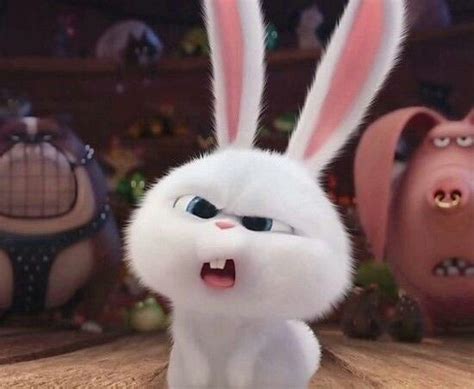 Pin By Donna Riley On My Favorite Bunny Cute Bunny Cartoon Pets