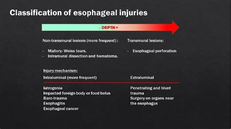 Figure 1 From Ct Features Of Acute Esophageal Injuries Semantic Scholar