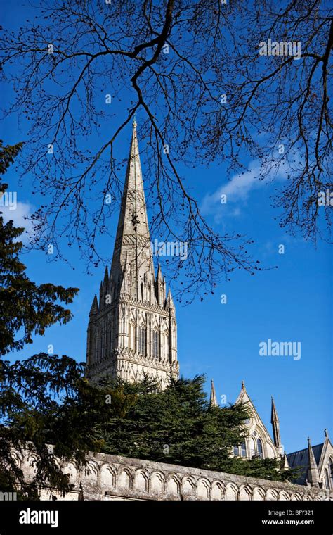 Salisbury Cathedral In November Wiltshire Uk With Bare Winter