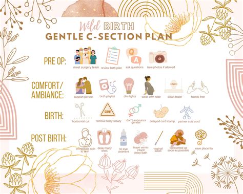 Gentle C Section Birth Plan L Visual Birth Plan L Birth Plan Etsy