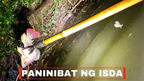 Paninibat Ng Isda Night Spear Fishing Lifewayph The Daily Life In