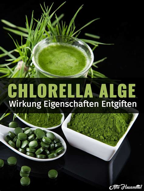 Chlorella Algen Wirkungen Eigenschaften Entgiften