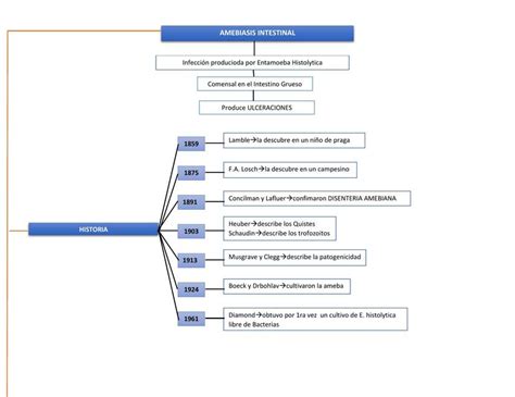 ESQUEMA DE AMEBIASIS INTESTINAL Jose Lisme UDocz