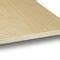 Cover Plywood Panel BIRCH SUPERIOR Panguaneta Plywood Wood Wall