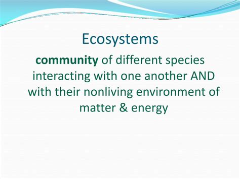 Pdf Community Of Different Species Interacting With One