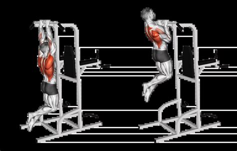 All Pull Up Workouts And Their Benefits Bezzad