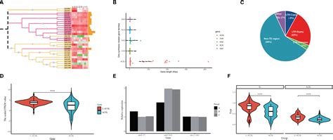 Frontiers Novel Mechanisms For The Synthesis Of Important Secondary