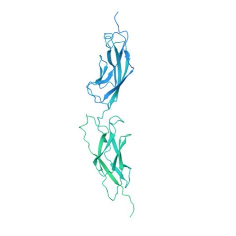 Gene Q14126 Protein DSG2 Overview CanSAR Ai