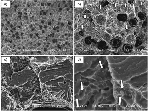 Sem Image Of The Fracture Surface Resulting From Bending Tests At Room