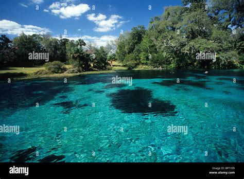 Impressions of Rainbow River, Rainbow River, Florida, USA Stock Photo ...