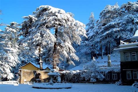 Best Winter Honeymoon Destinations In India