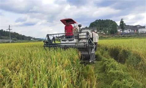 【中国农民丰收节】遵义：良田绘“丰”景 金秋粮满仓腾讯新闻