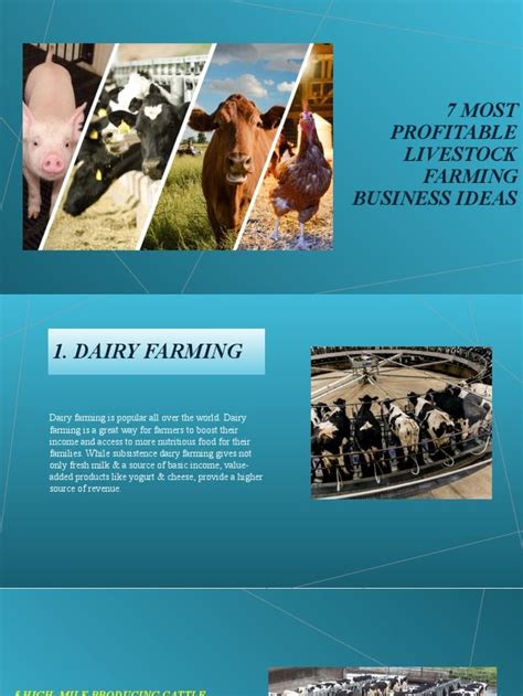 Most Profitable Livestock Farming Business Ideas In Livestock