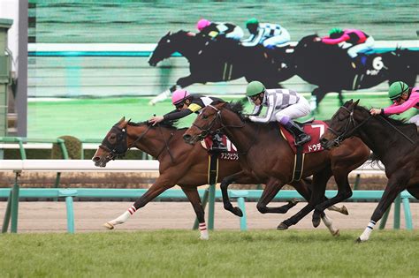 菊花賞2022 有力馬情報｜g1特集｜競馬情報ならjra Van