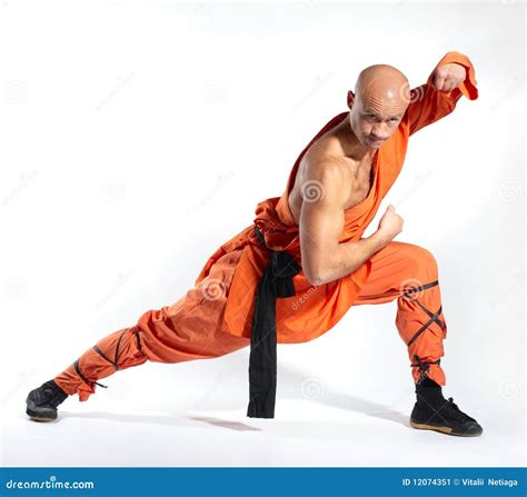 Monje Del Guerrero De Shaolin Imagen De Archivo Imagen De Monk