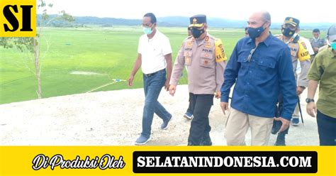 Besok Gubernur Laiskodat Panen Padi Dan Tanam Jagung Food Estate Di