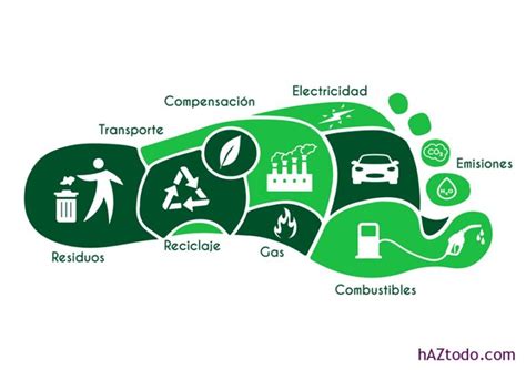 Quieres Compensar Tu Huella De Carbono Conoce La Compra De Cr Ditos