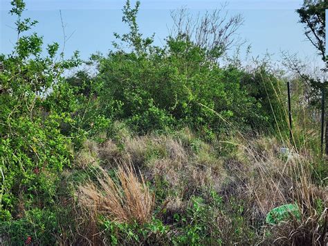 what ecosystems are home to texas 8