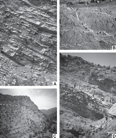 Typical outcrops in the type area of the Oued Issène Formation in the ...