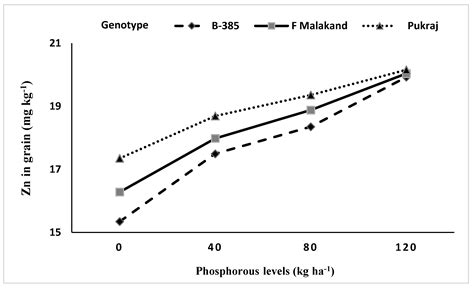 Agronomy Free Full Text Phosphorus And Zinc Fertilization Improve Zinc Biofortification In