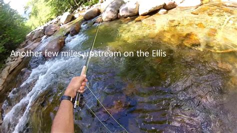 Sotf Fly Fishing The Ellis River 2020 Youtube