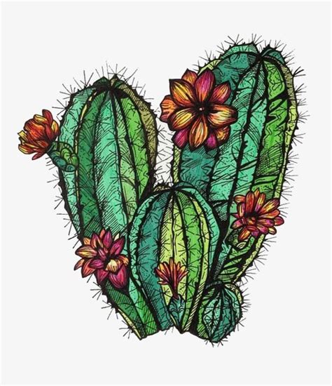 Cactus PNG Images, Hand Painted Cactus, Cartoon Cactus, Creative Cactus ...