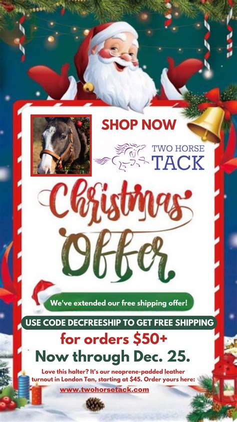 Shop Affordable & High-Quality Horse Tack Online — TwoHorseTack - Two ...